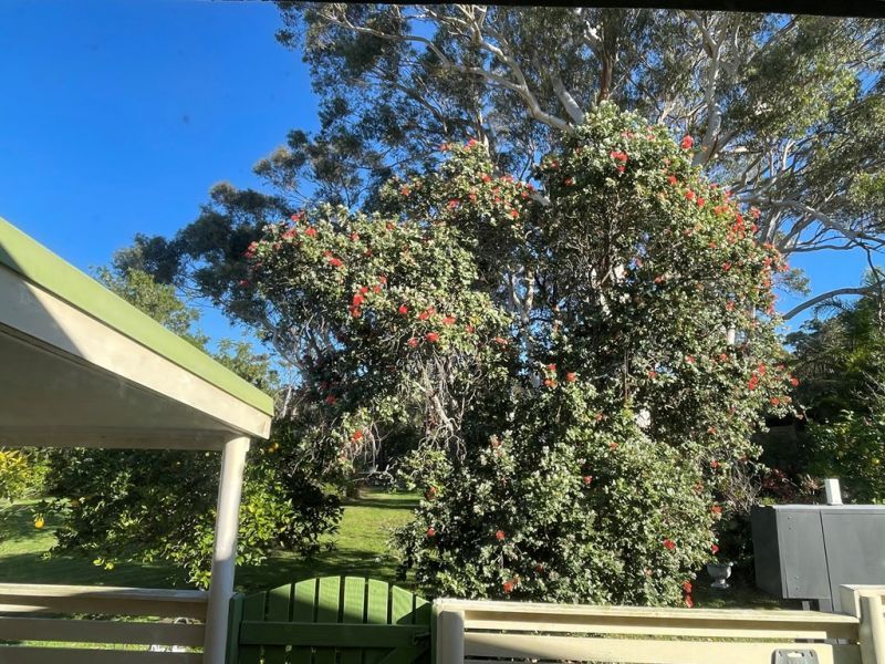 BUSHLAND LIVING