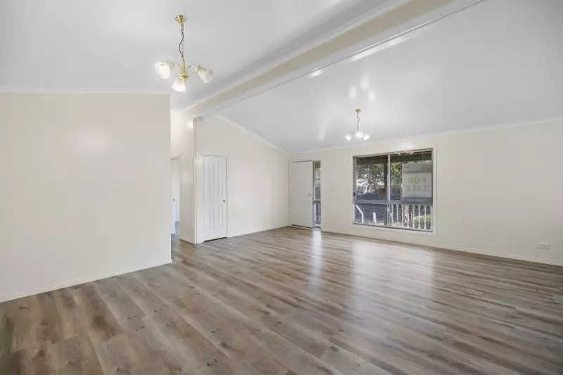 Freshly Updated Home