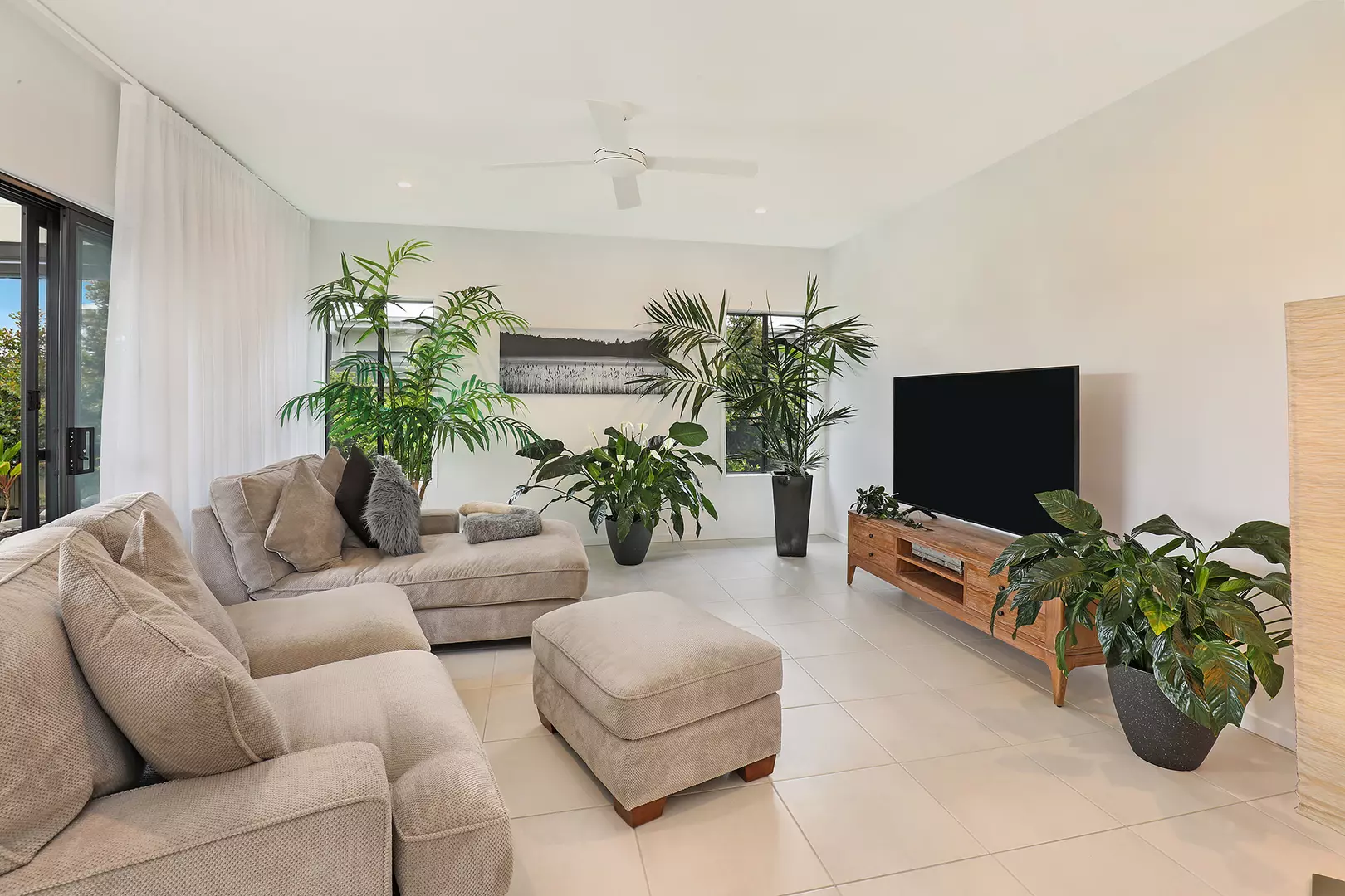 The Next Chapter is Looking Amazing! V238