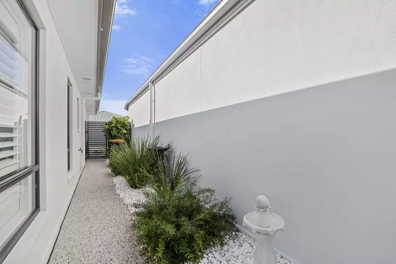 Site 264 - Established Beechmont