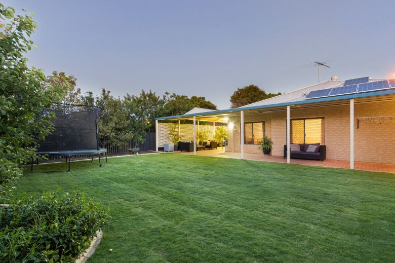 Backyard Bliss!