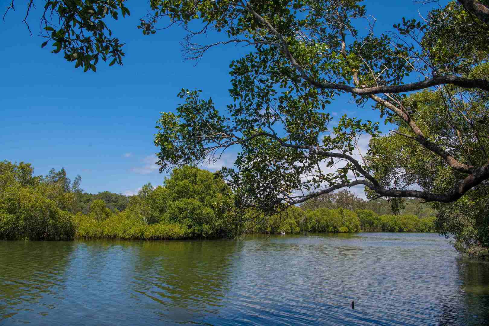 Find your dream home at Riverside