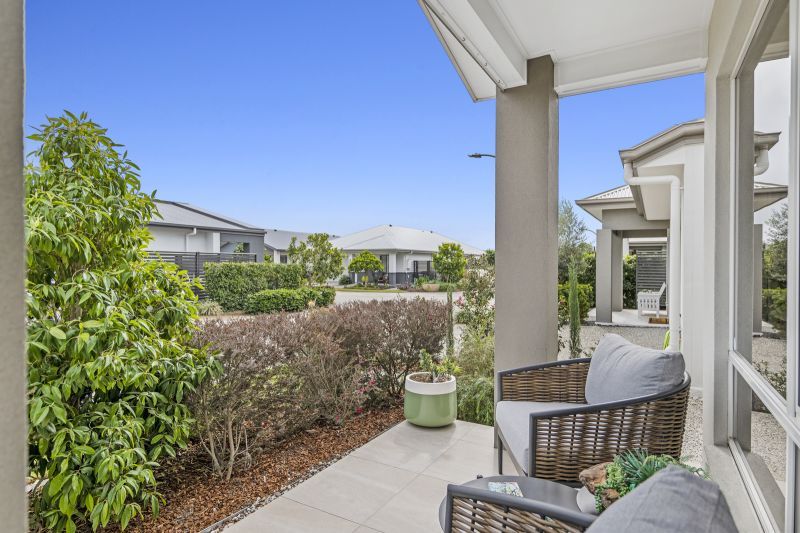 Site 169 - Established Rosevale