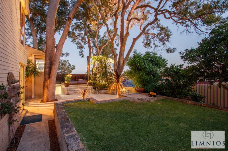 Tree Change In The City