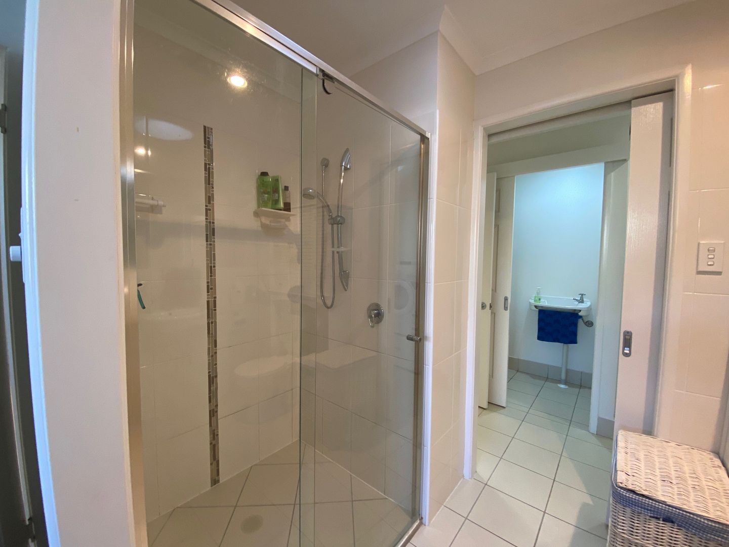 DON’T MISS THIS ONE! V62 Bottlebrush Design