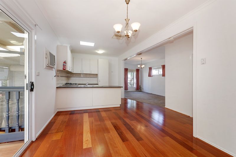 Plenty of Natural Light!