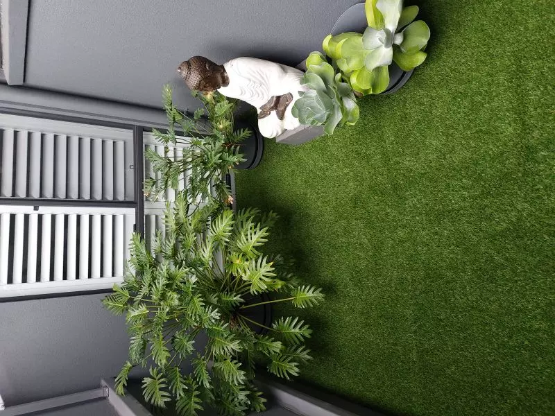 Site 21 Established Kalbar