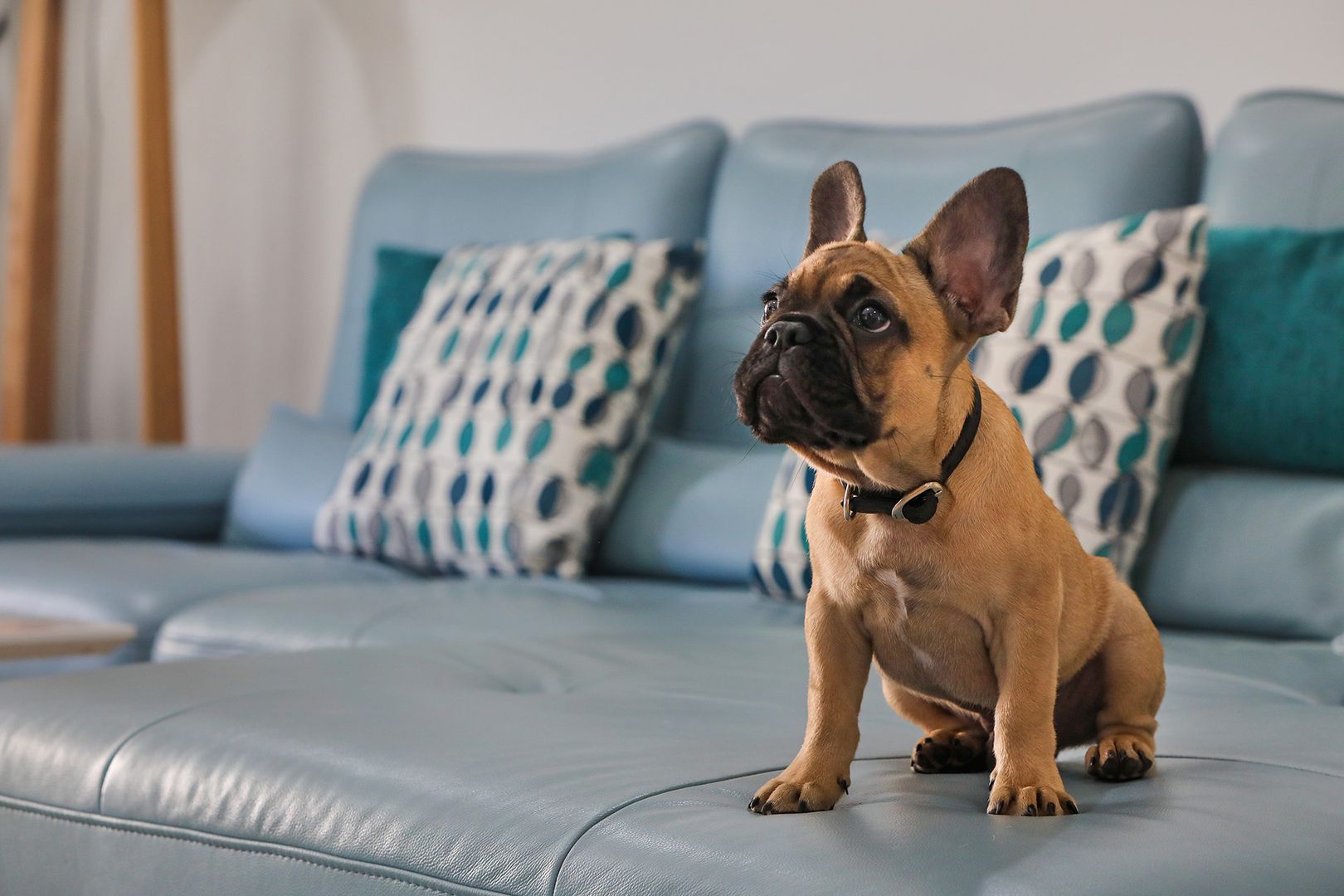 Maroochy Magic, Lifestyle Nirvana! - GemLife Maroochy Quays