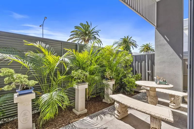 Site 002 - Established Silver Mist I