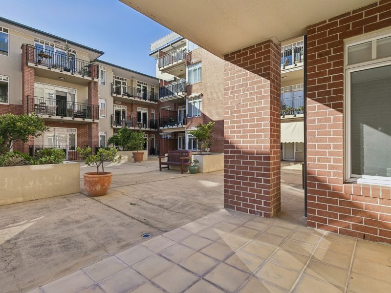 North-Facing Open Plan Living
