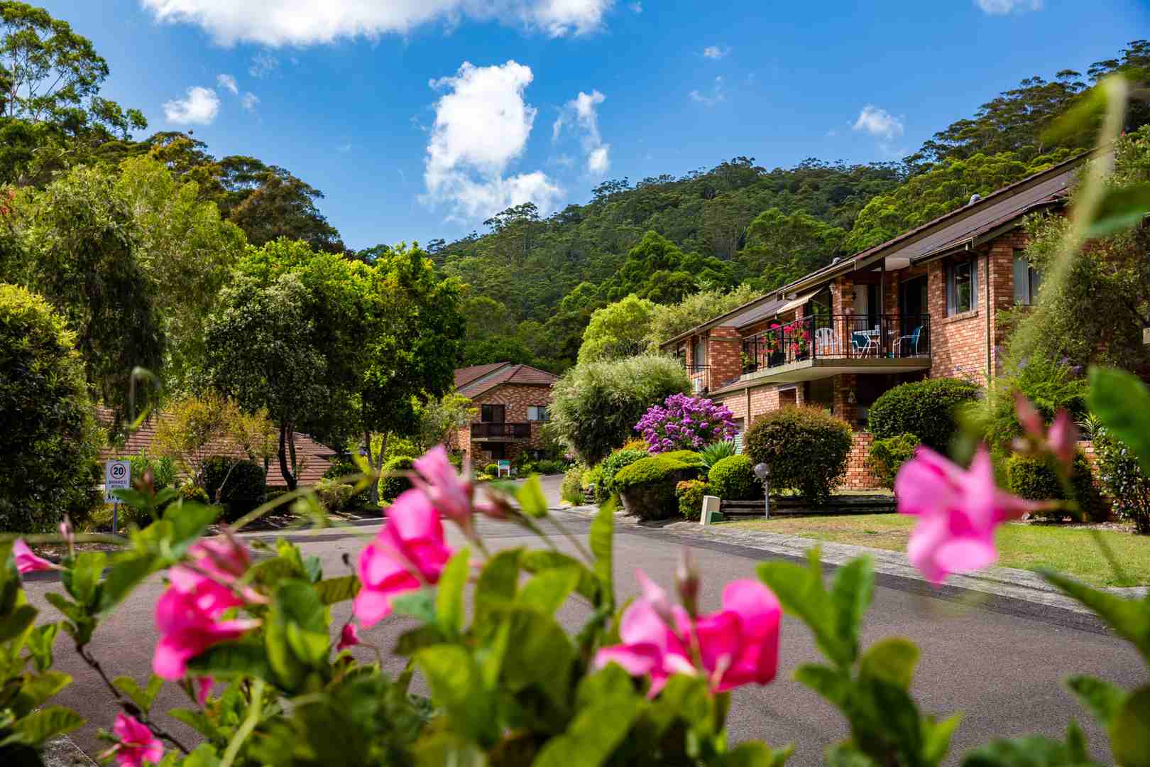 Henry Kendall Gardens
