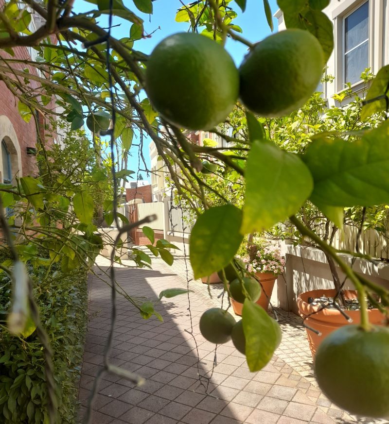 A Unique New York Style Townhouse, Heritage Development!
