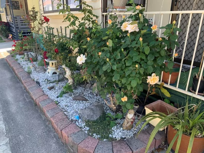 Coastal Palms Village - Site 231