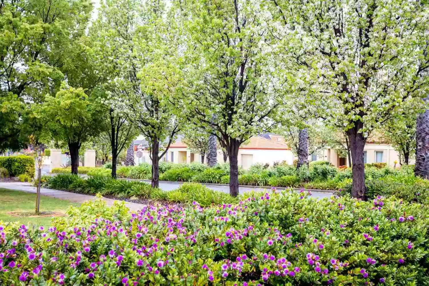 2 Bedroom Beautiful Apartments - Safe, Affordable