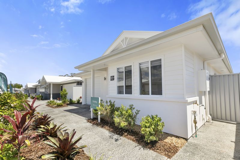 Introducing The Purling