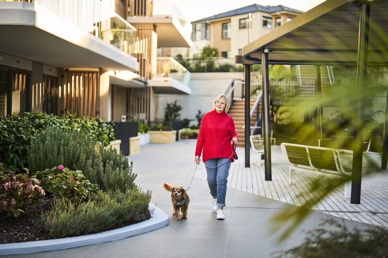 Upgraded Haven with Dual Terraces at Glenaeon