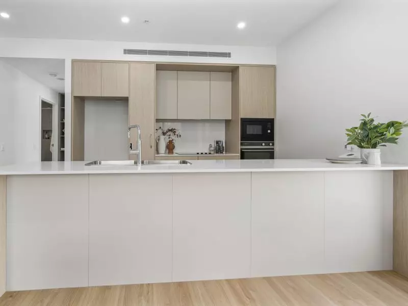 Luxury living immersed in calming bushland surrounds