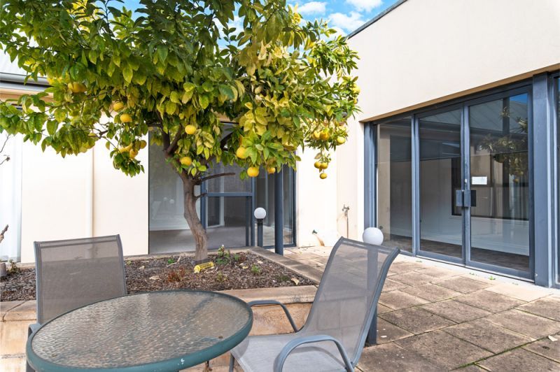 Spacious Care apartment with courtyard access