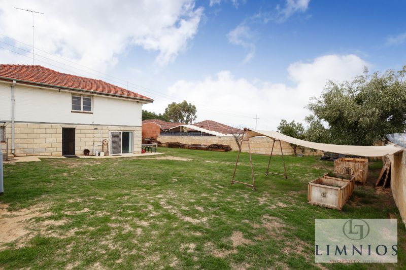 Explore Your Development Options!