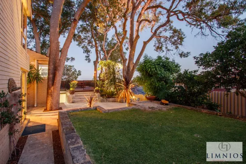 Tree Change In The City