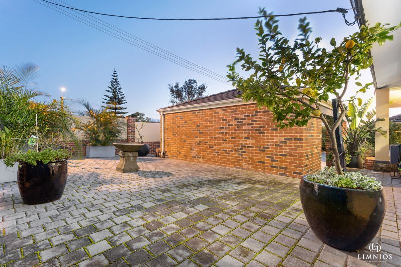 Mid Century Character!