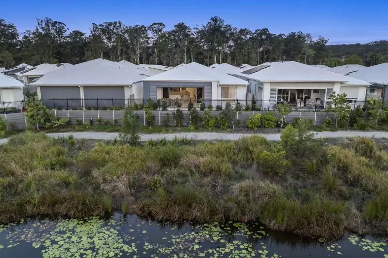 Site 258 - Established Kondalilla