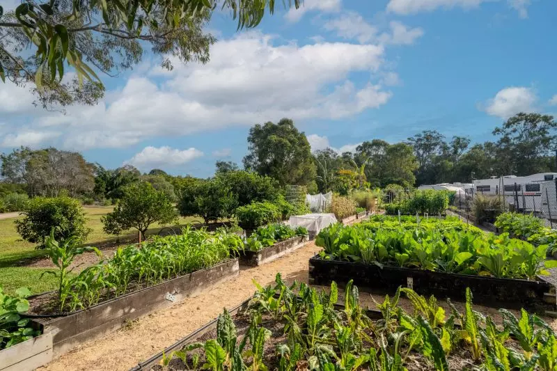 Site 47 - Established Ningaloo