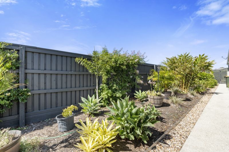 Site 91 - Established Aratula