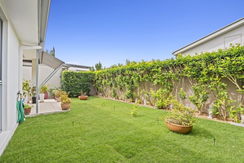 Site 36 - Established Hinchinbrook