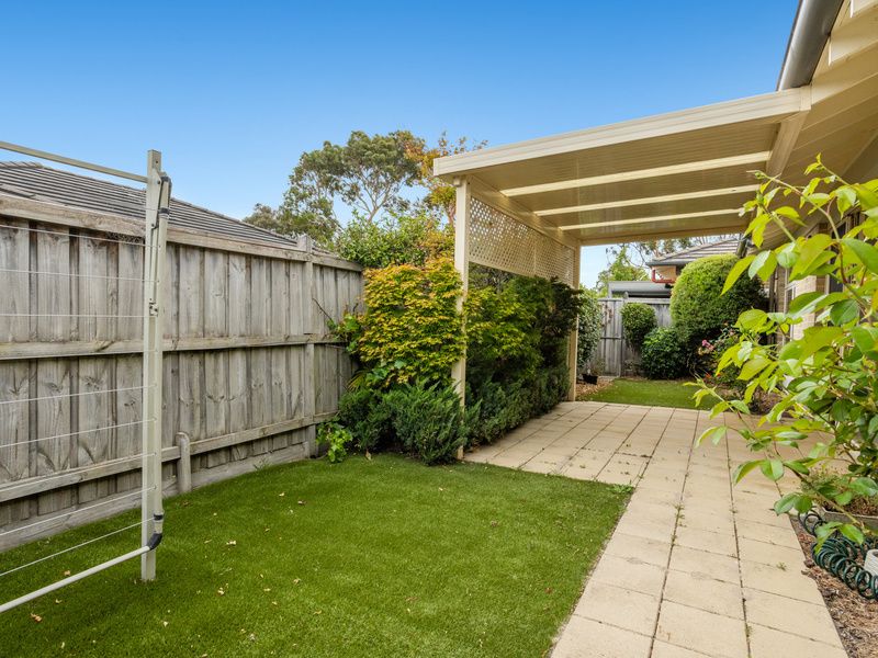 North-facing with High ceilings and Private Courtyard