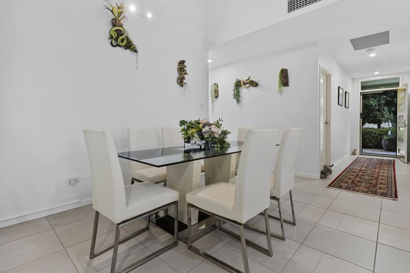 Stunning Rainforest Outlook