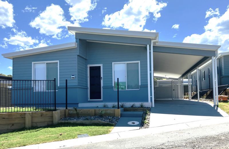 HEAR THE WAVES,SEE THE TREES