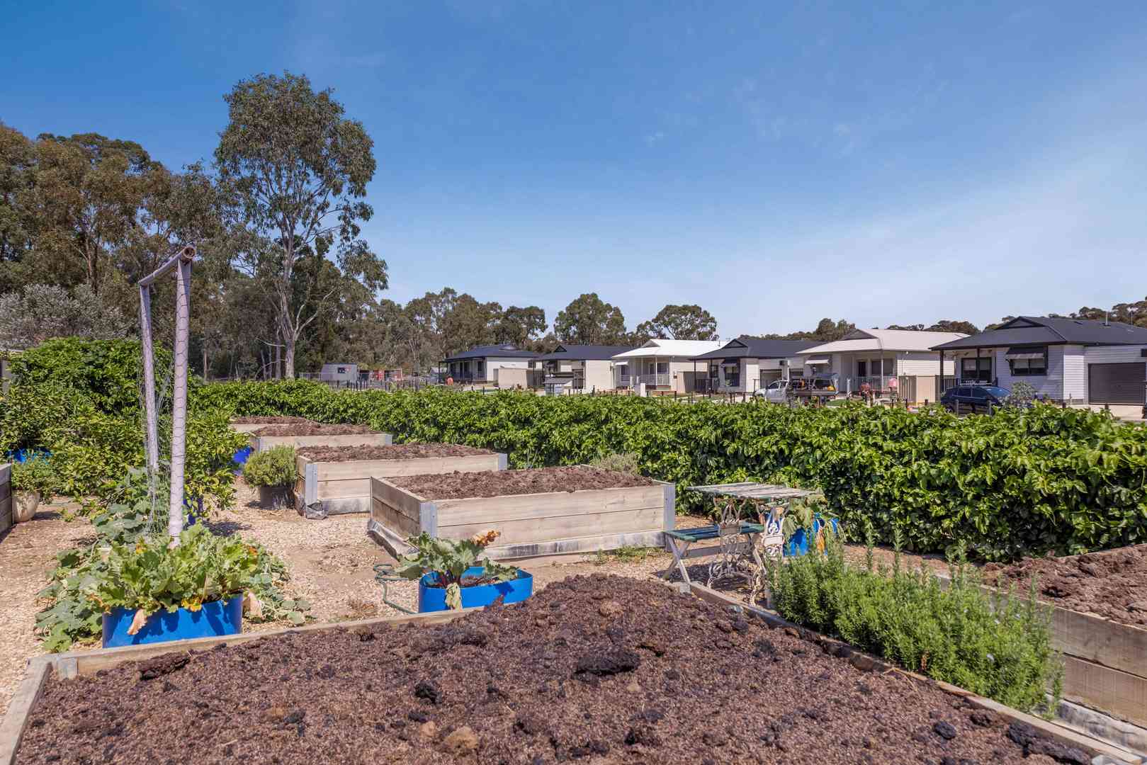 Three Bedroom Homes Coming Soon - Flexible Spaces, Relaxed Living