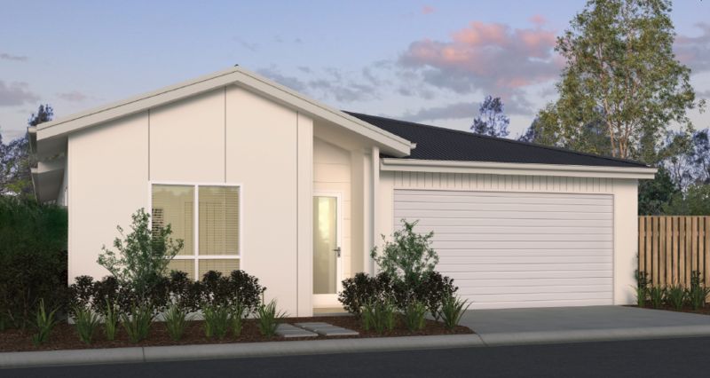 Desert Fern shines in its beauty 