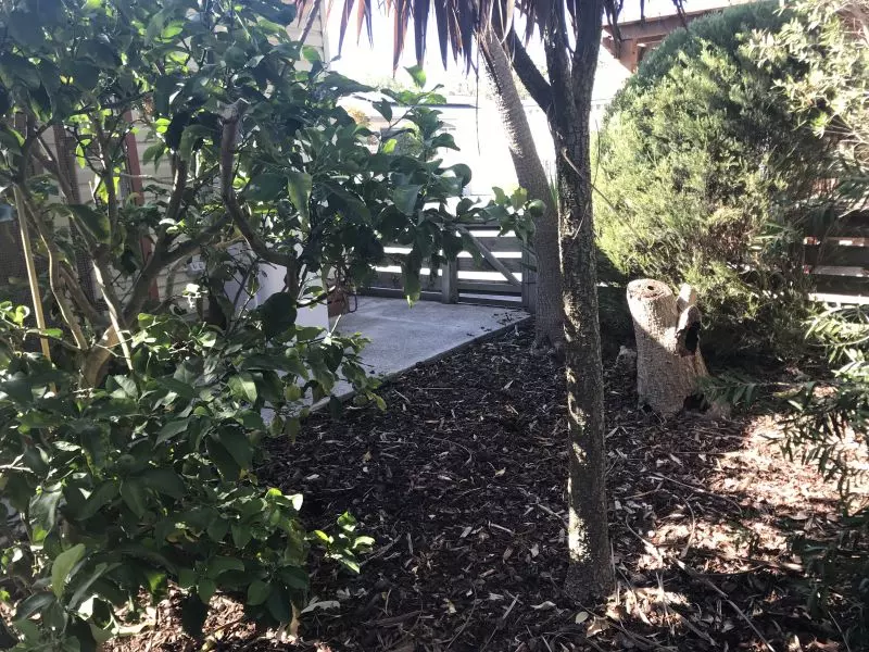 Peninsula Parklands - Site 126