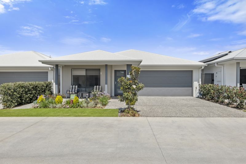 Site 230 - Established Beechmont