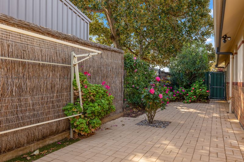 Sunlit Villa with Lush Gardens and Entertainer’s Delight