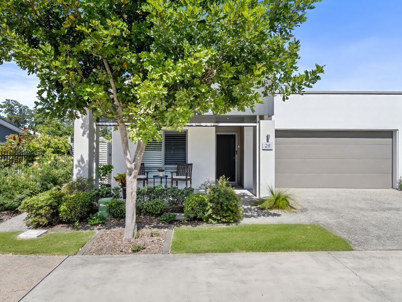 Site 28 - Established Sequoia