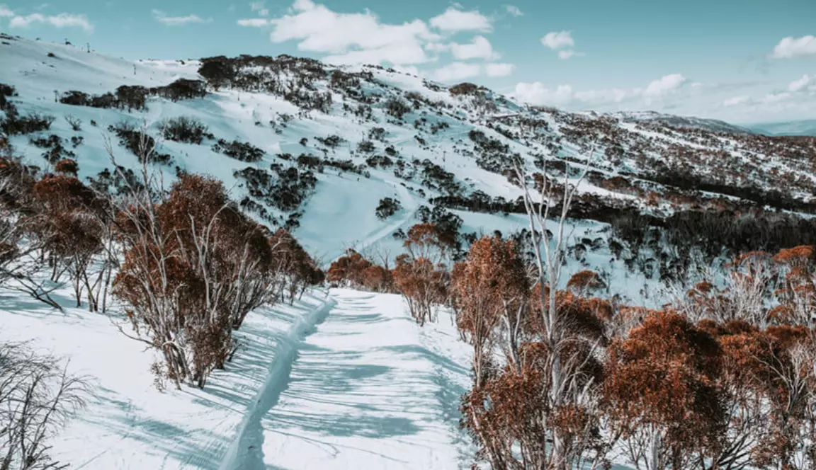 Snowy Mountains