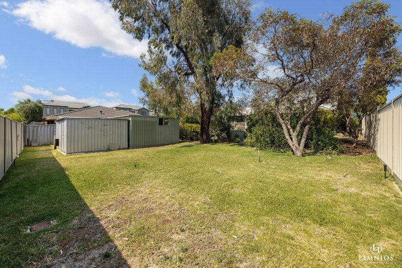 Explore your options!