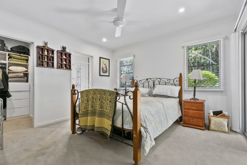 Stunning Rainforest Backdrop