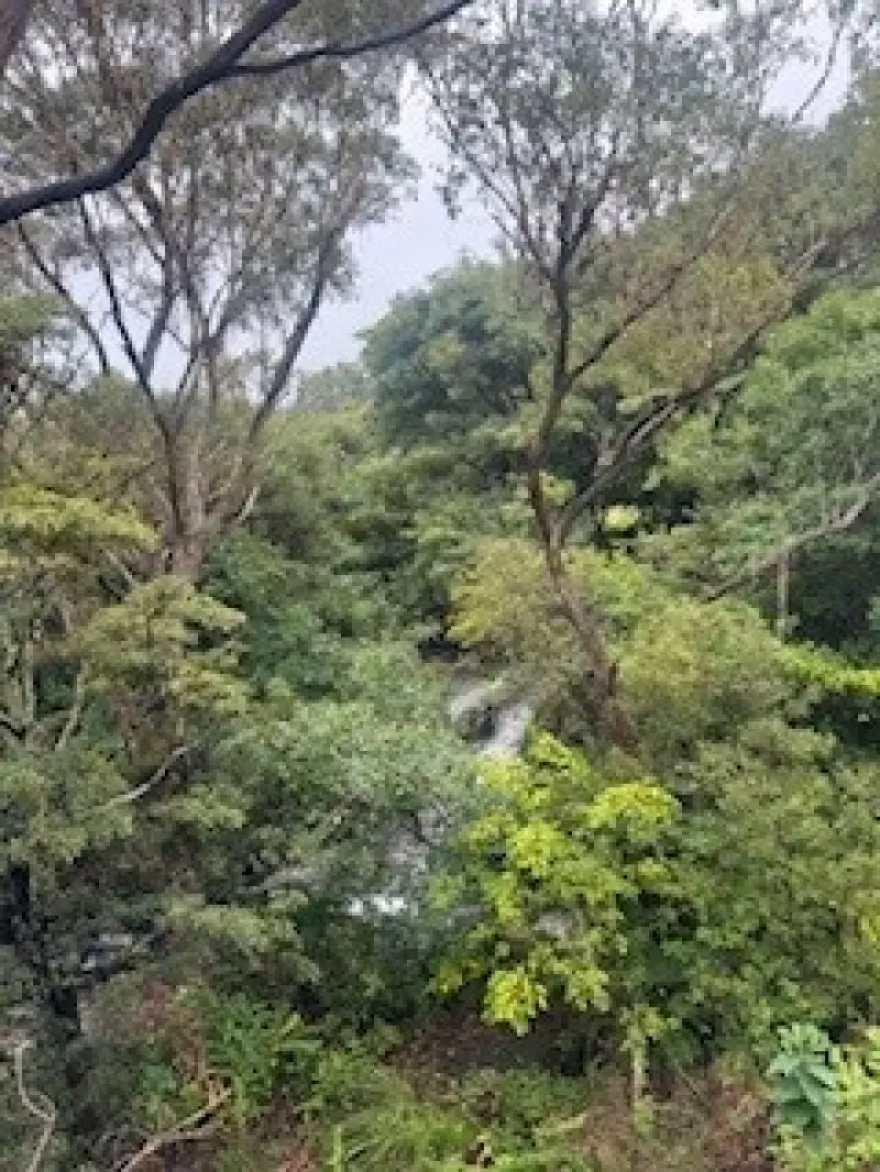 Ready to move in! Spacious apartment with Balcony, Lift Access & Serene Views