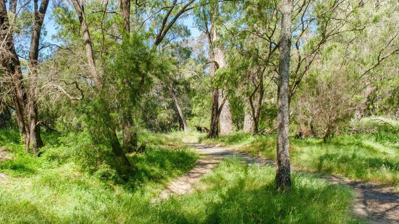 Meadowbrooke - Pearson Design