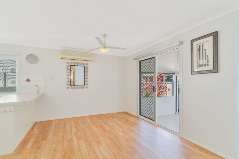 Splashes of leadlight