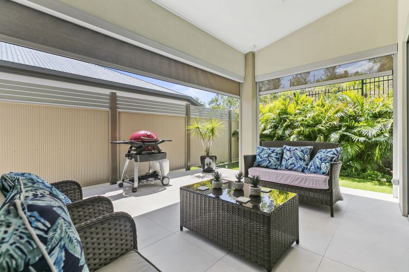 Site 230 - Established Peregrine