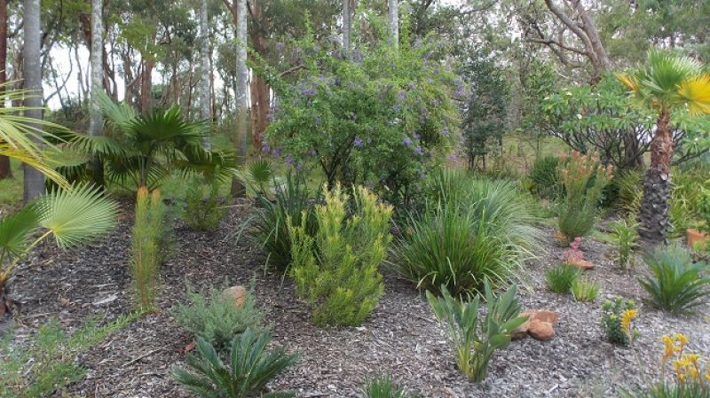 Banksia Grove Village - Site 172