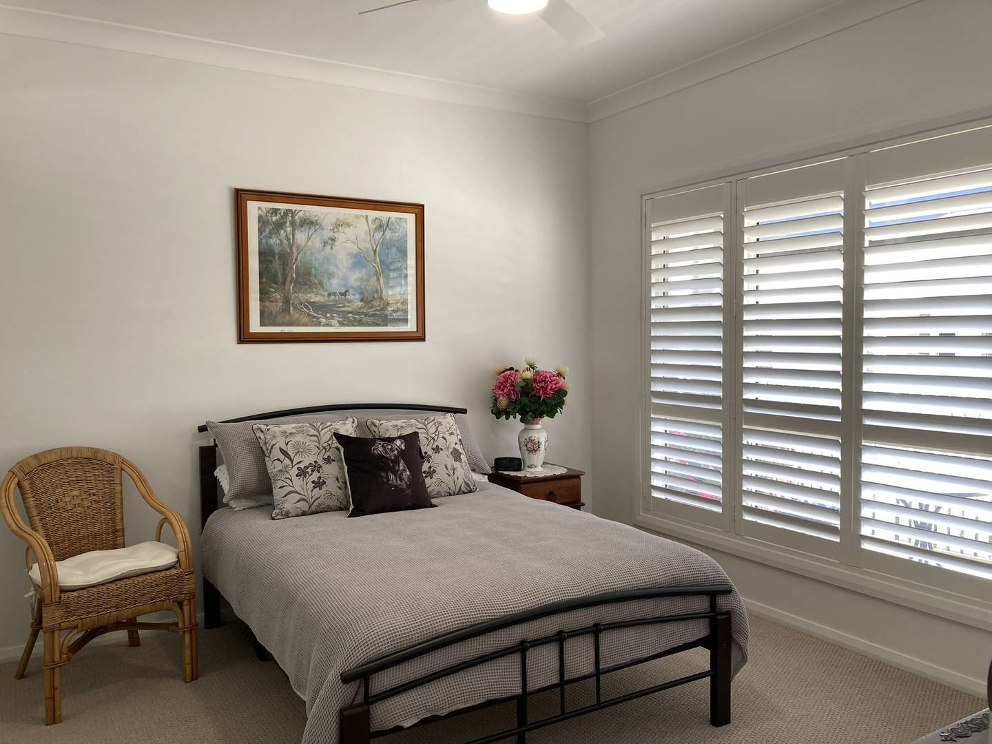 Melaleuca Design - Available Now