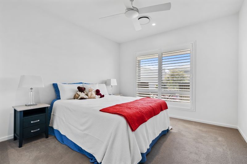 Site 217 - Established Sequoia