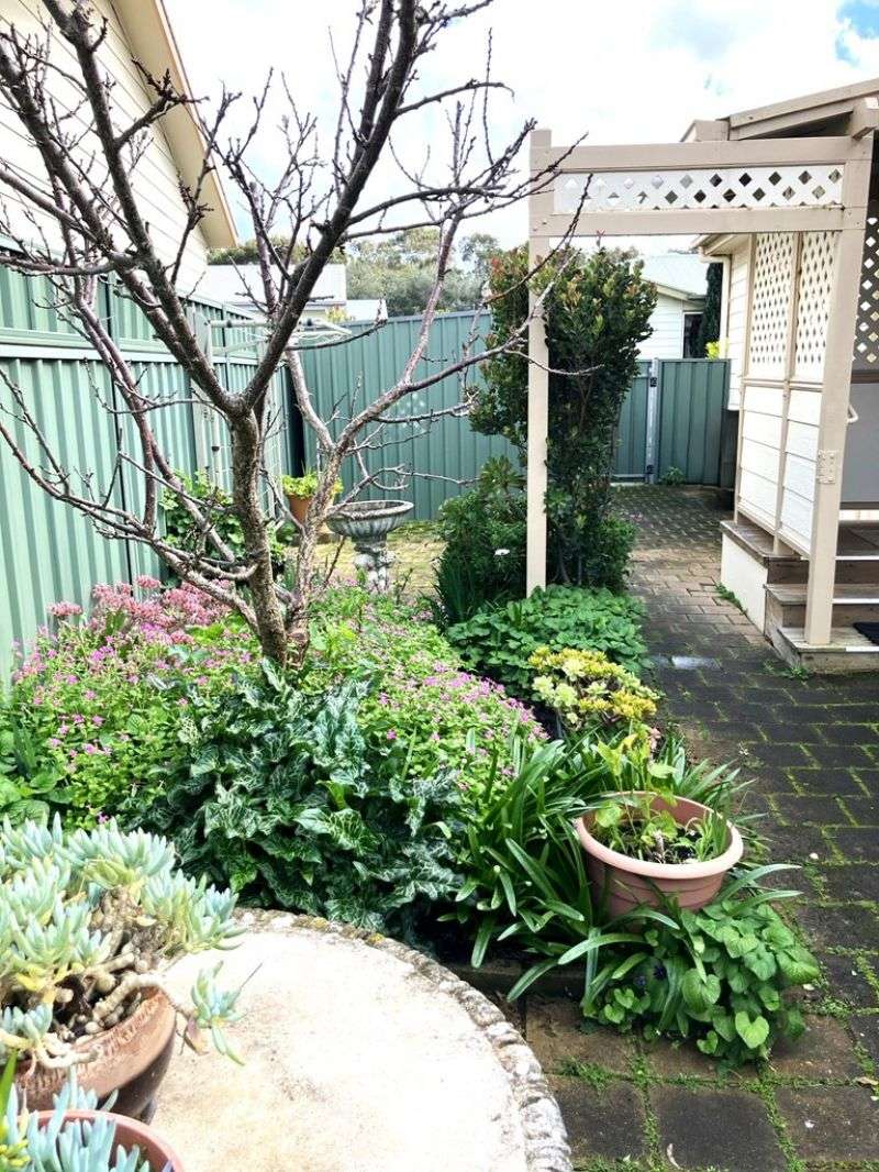 Lovely Home - Fantastic Location