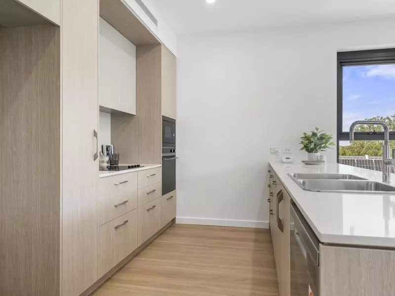 Luxury living immersed in calming bushland surrounds